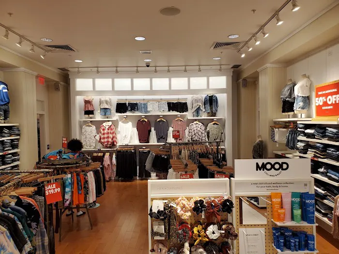 American Eagle 6