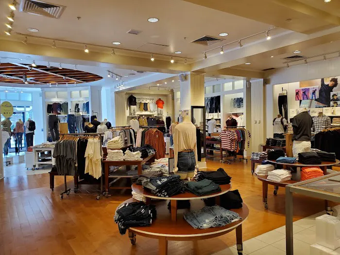 American Eagle 7