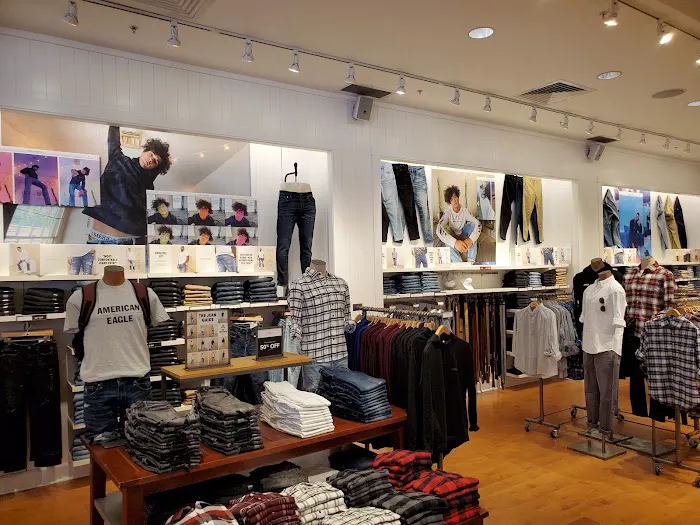 American Eagle 8
