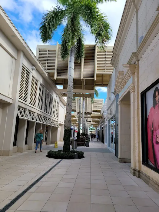 Anthropologie 6