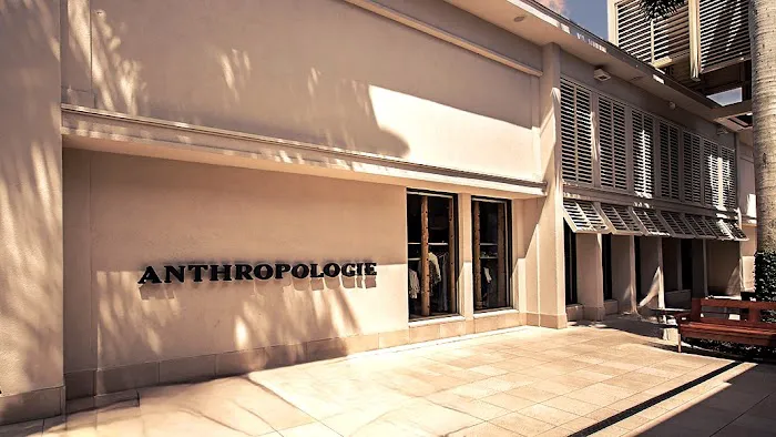 Anthropologie 5