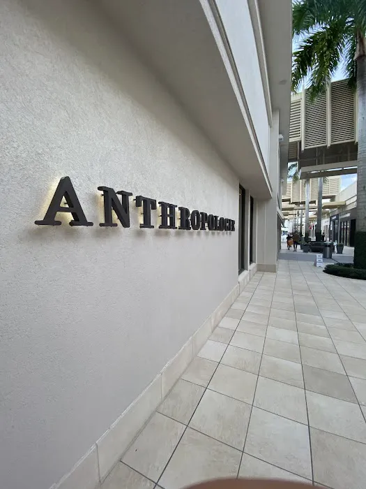 Anthropologie 4