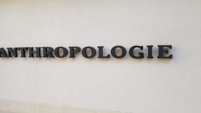 Anthropologie 1