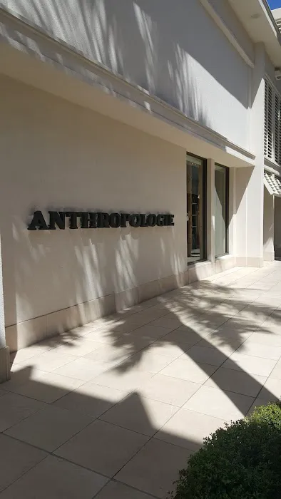 Anthropologie 7