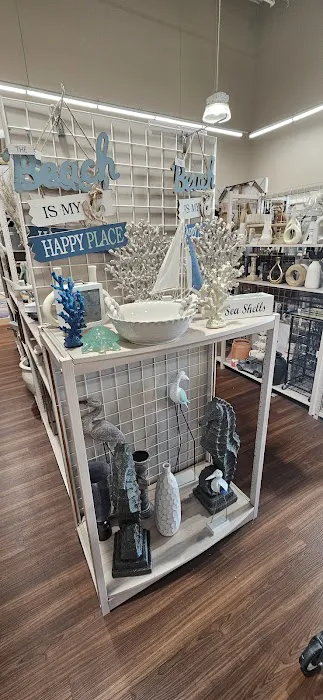 bealls 5