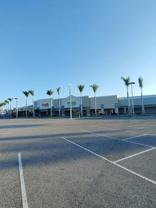 bealls 8