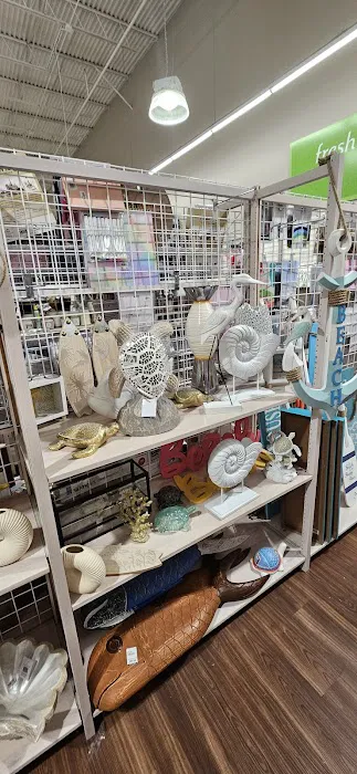bealls 7