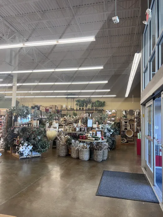 World Market 9