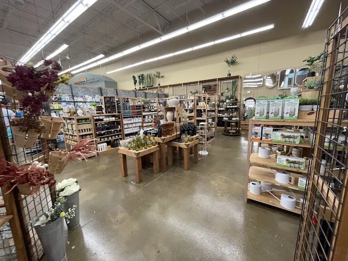 World Market 5