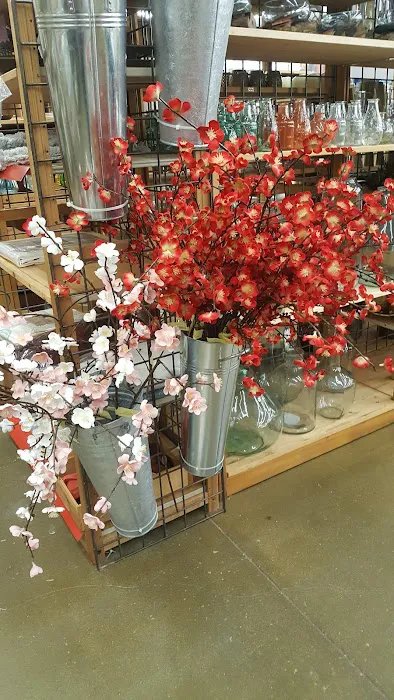 World Market 2