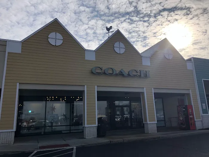 COACH Outlet 9