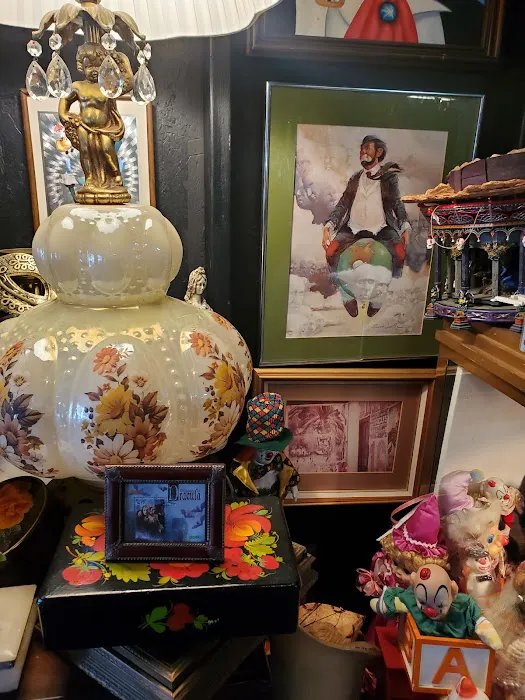 Tooth and Veil Oddities and Macabre Shop 2