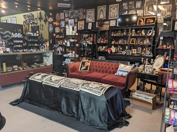 Tooth and Veil Oddities and Macabre Shop 1