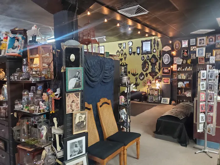 Tooth and Veil Oddities and Macabre Shop 3