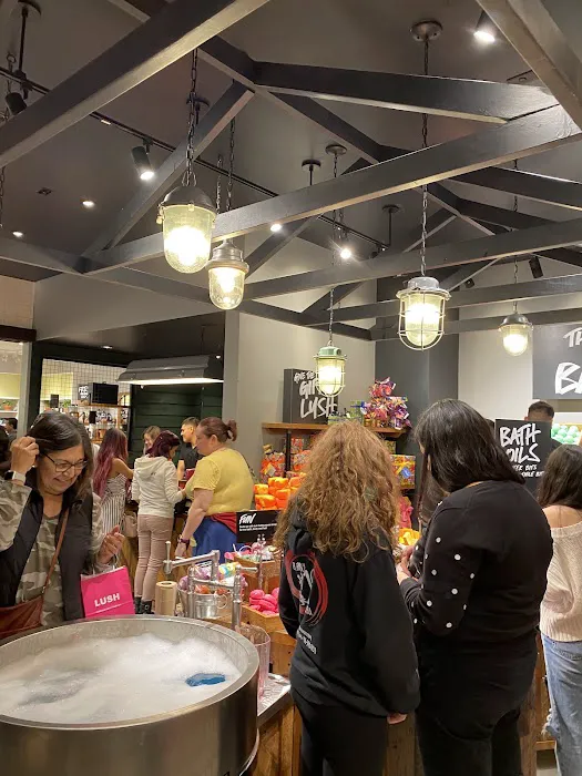 Lush Cosmetics Cielo Vista 0