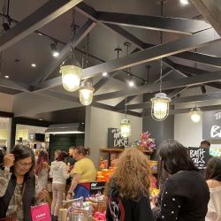 Lush Cosmetics Cielo Vista ico