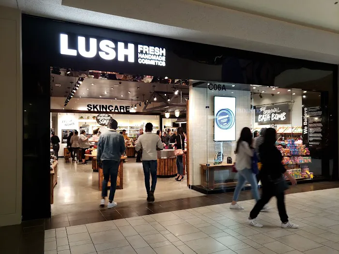 Lush Cosmetics Cielo Vista 9
