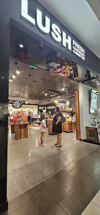 Lush Cosmetics Cielo Vista 1