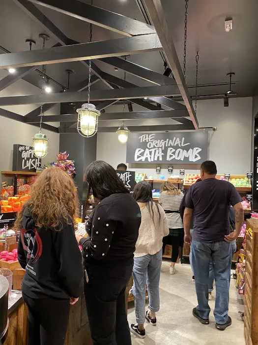 Lush Cosmetics Cielo Vista 7