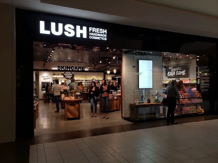 Lush Cosmetics Cielo Vista 8