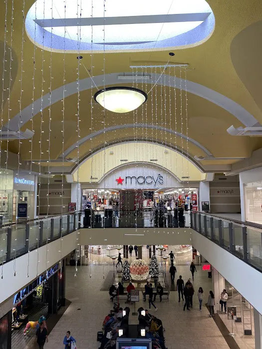 Macy's 6
