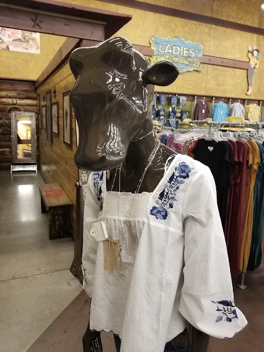 Cavender's Boot City 7
