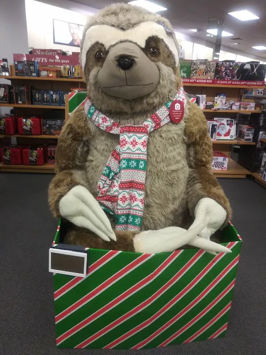 Kohl's 0