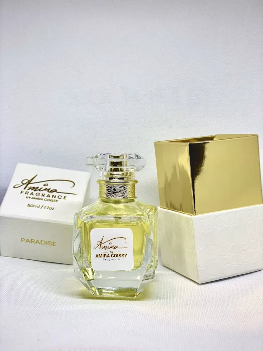 Amira paradise llc 3