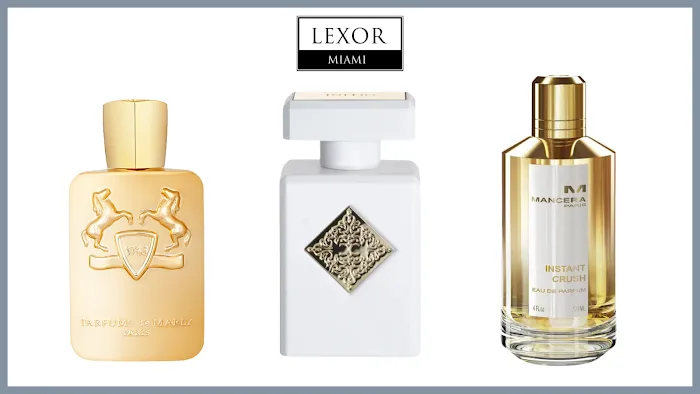 Lexor Miami Perfumes 9