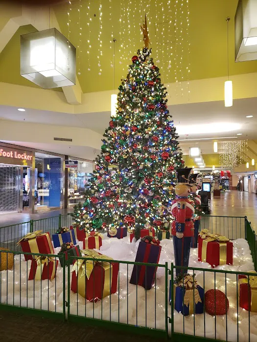Kohl's 4
