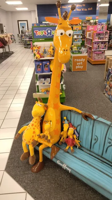 Macy's 6