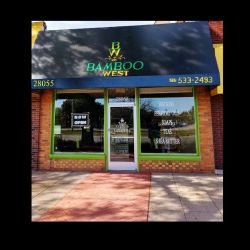 Bamboo West ico
