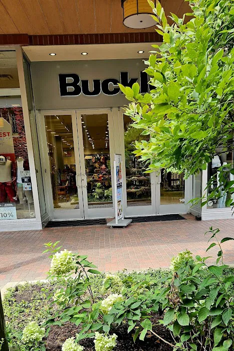 Buckle 0