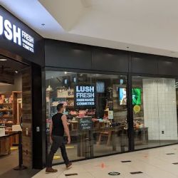 Lush Cosmetics 12 Oaks ico