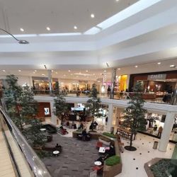 Macy's ico