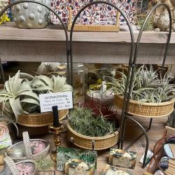 Botanica Modern Market ico
