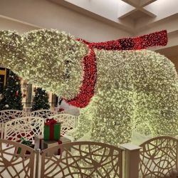 Macy's ico