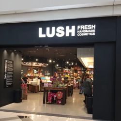 Lush Cosmetics Woodland Grand Rapids ico