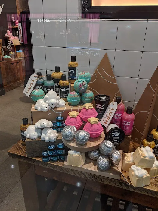 Lush Cosmetics Woodland Grand Rapids 4