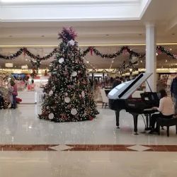 Von Maur ico