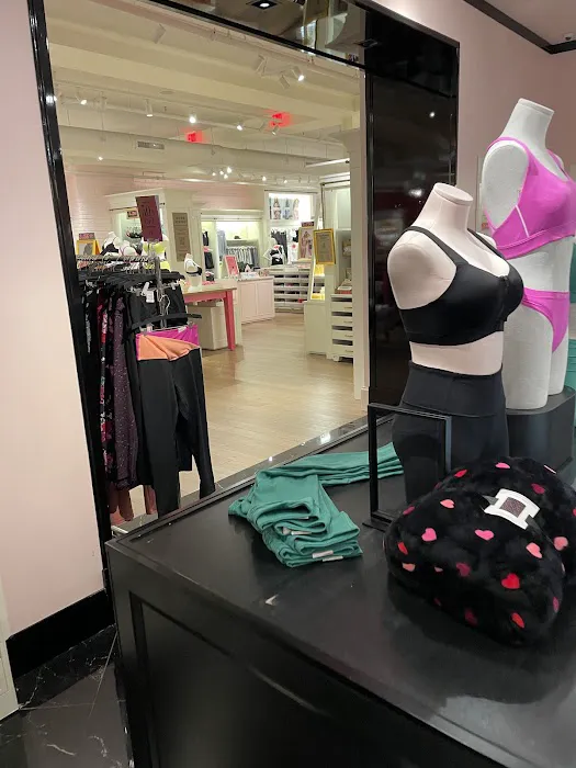 Victoria's Secret & PINK by Victoria's Secret 6