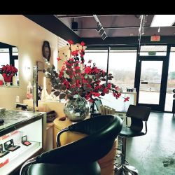 Merle Norman Cosmetics Studio ico