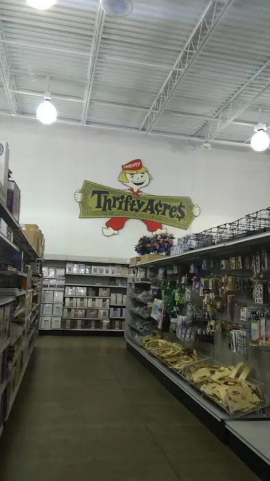 Meijer Thrifty Outlet 1