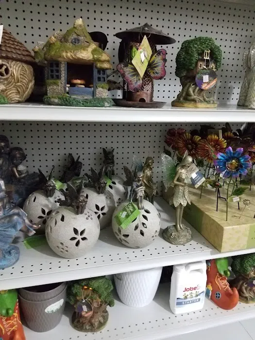 Meijer Thrifty Outlet 5