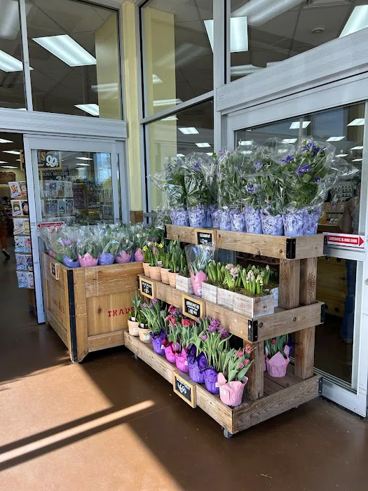 Trader Joe's 5