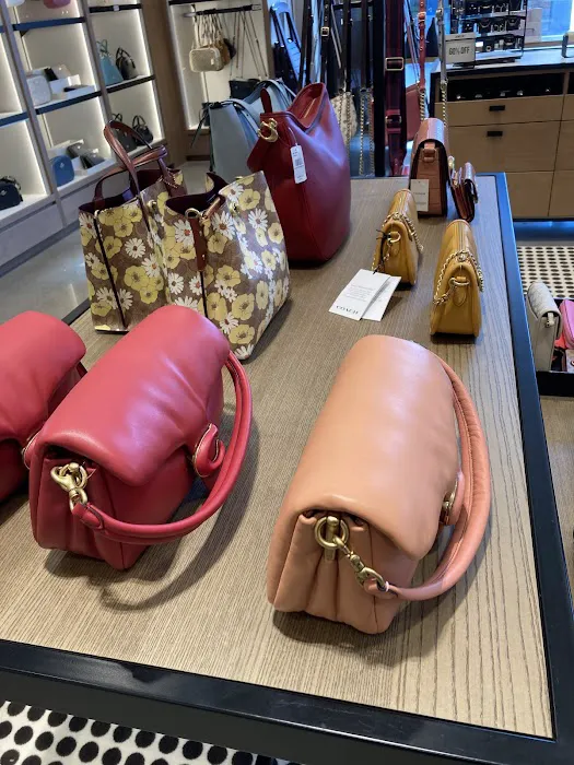COACH Outlet 0