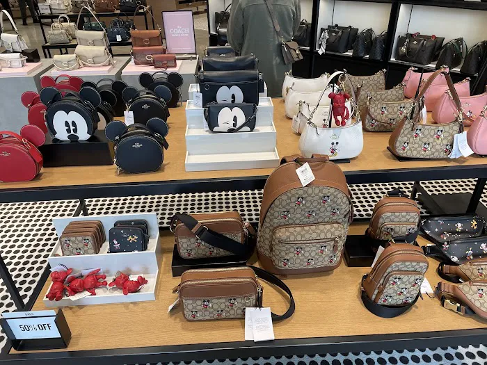 COACH Outlet 8