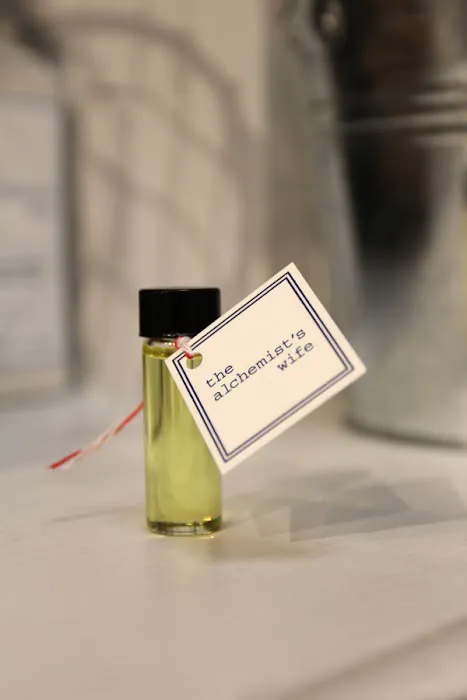 The Alchemist's Wife 3