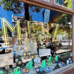 Merz Apothecary ico