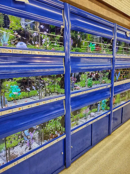 Meijer 7